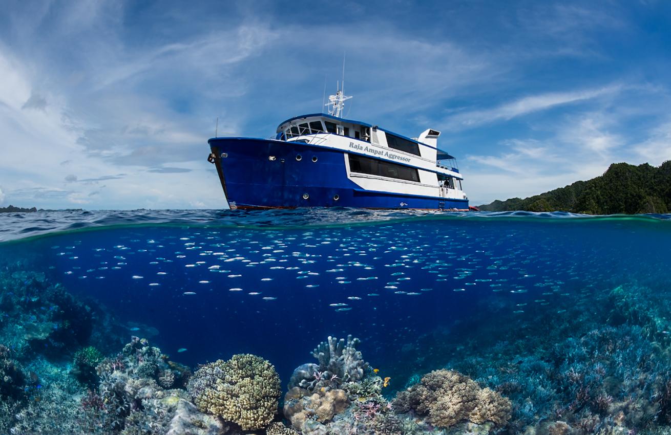 RAJA AMPAT AGGRESSOR