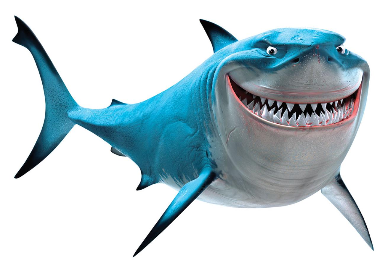 SHARK BAIT OOH HA HA