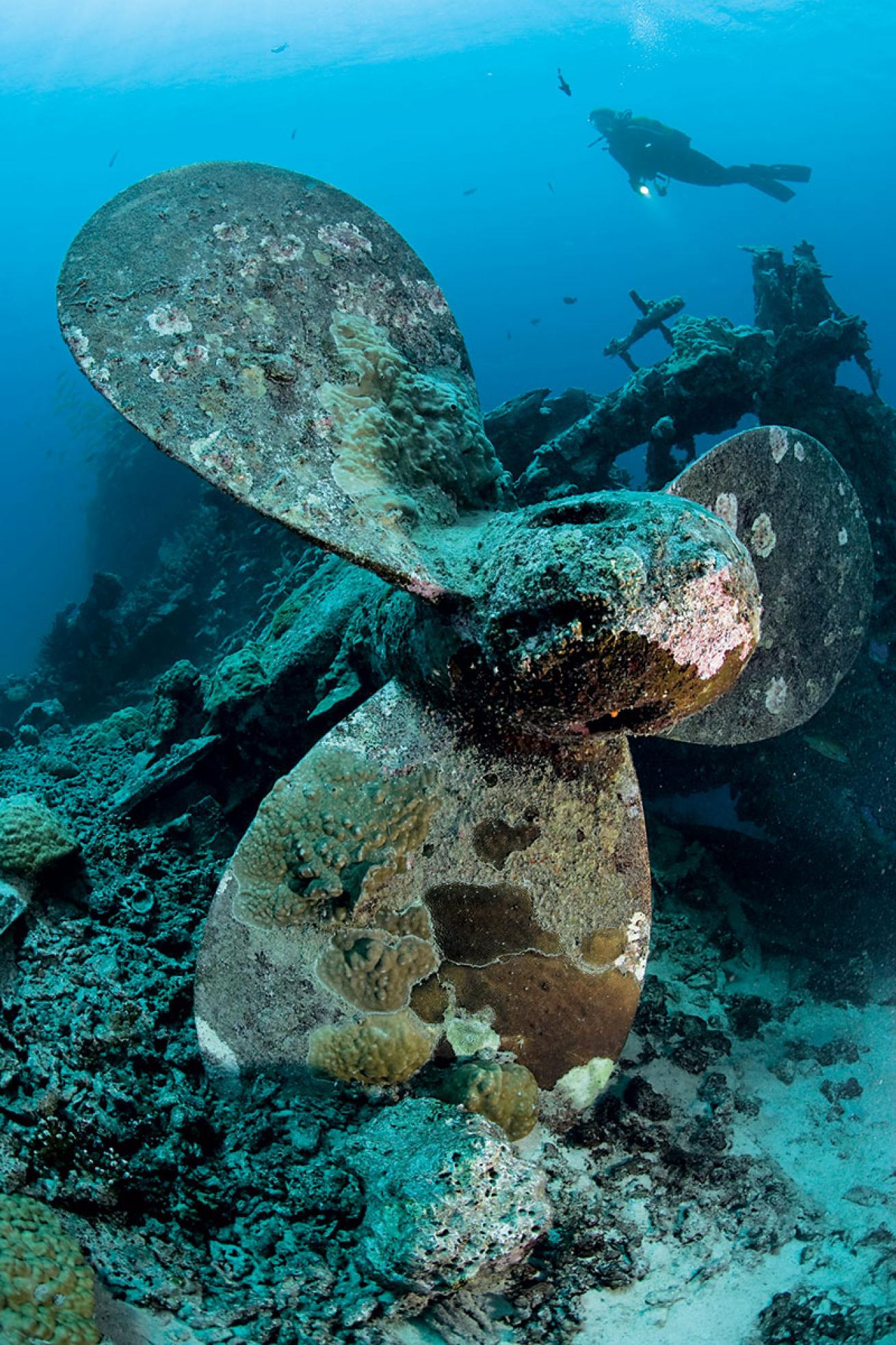 Les Trios Epaves Wreck in Tahiti