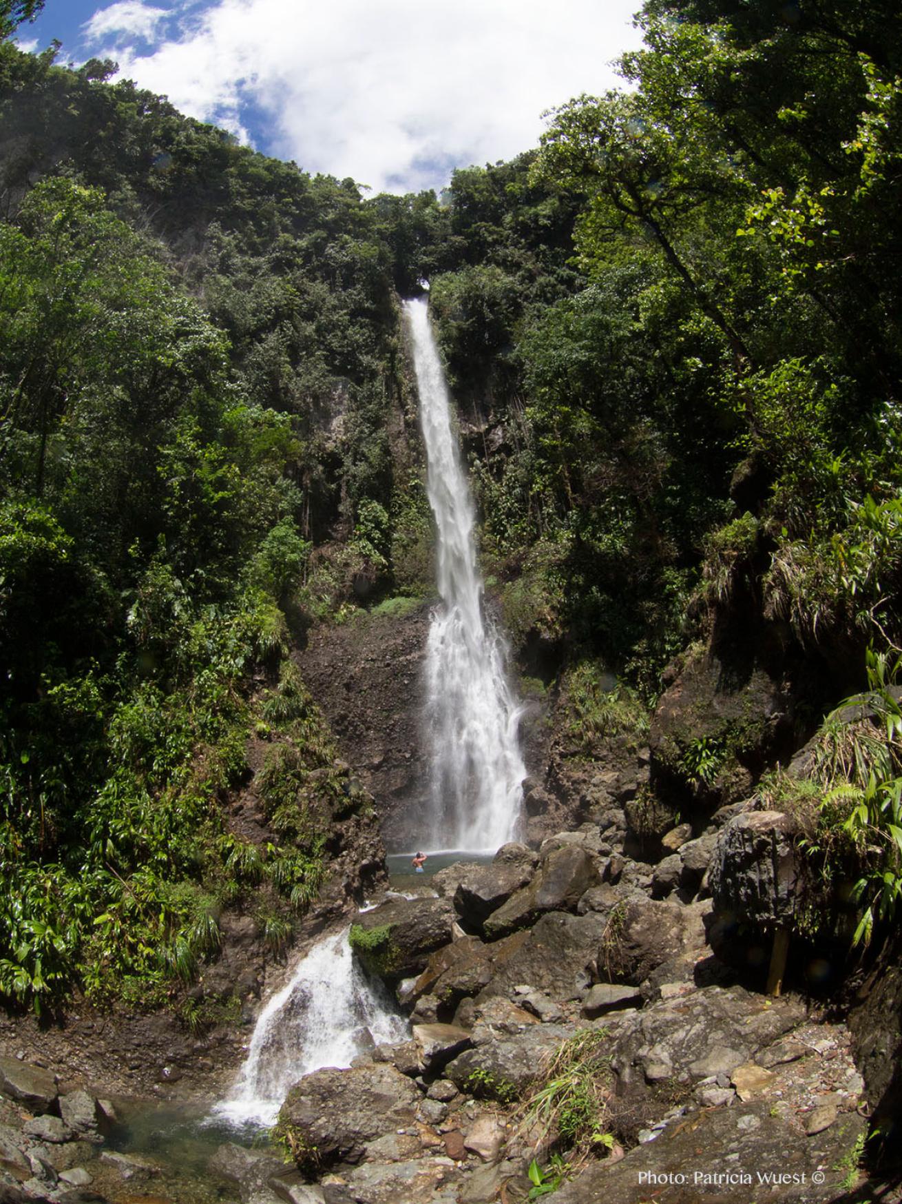 Middleham Falls