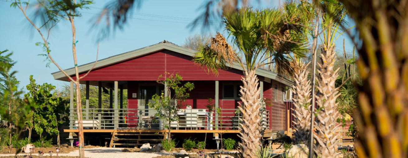 Red Palm Village Bonaire Dive Resort