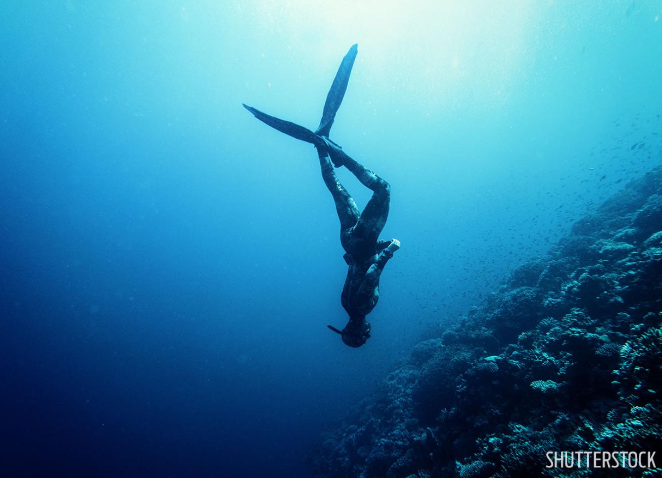 Best freediving North America Florida California