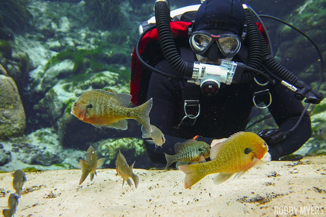 scuba diving in florida freshwater springs