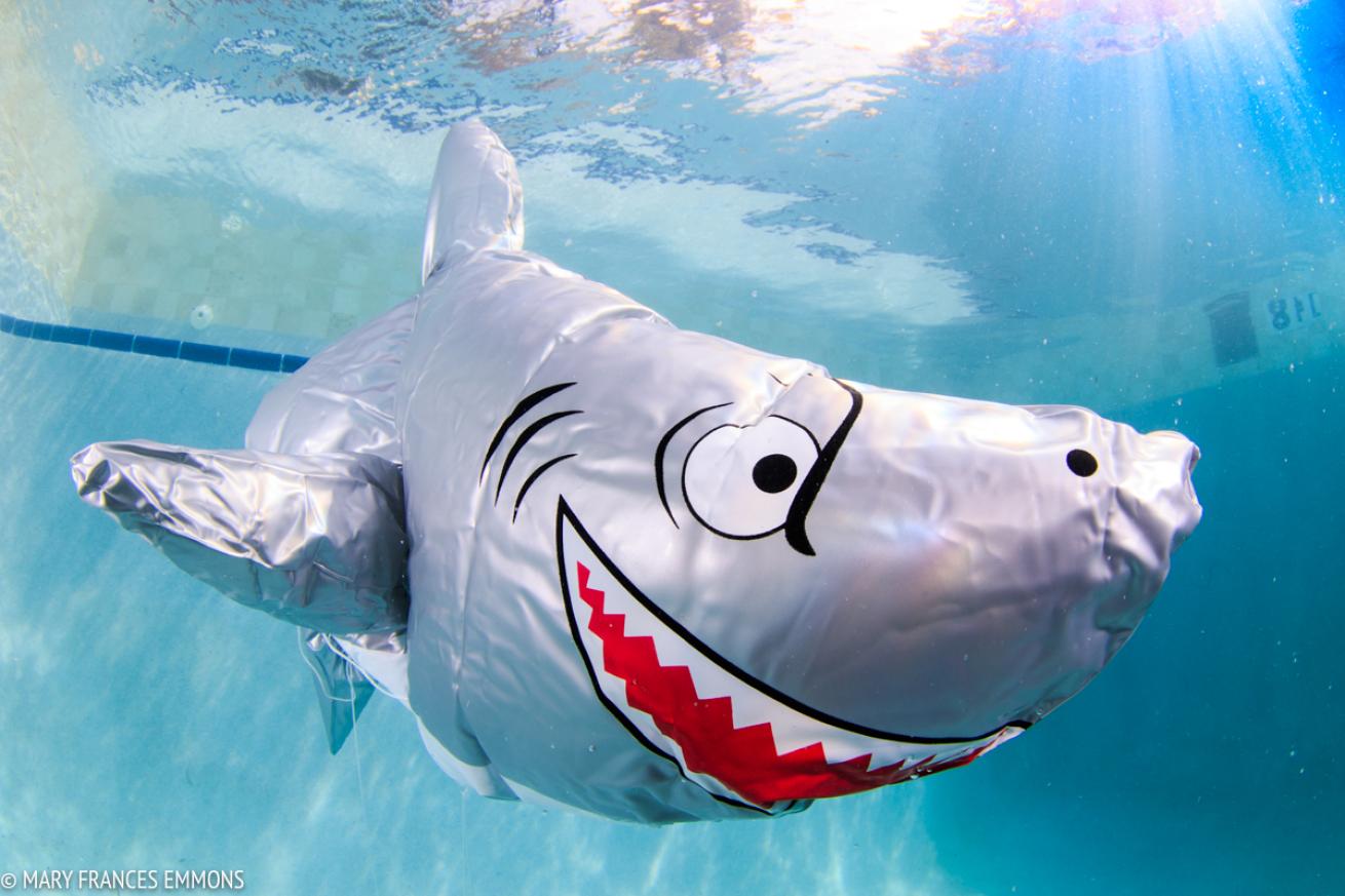 underwater photography workshops 