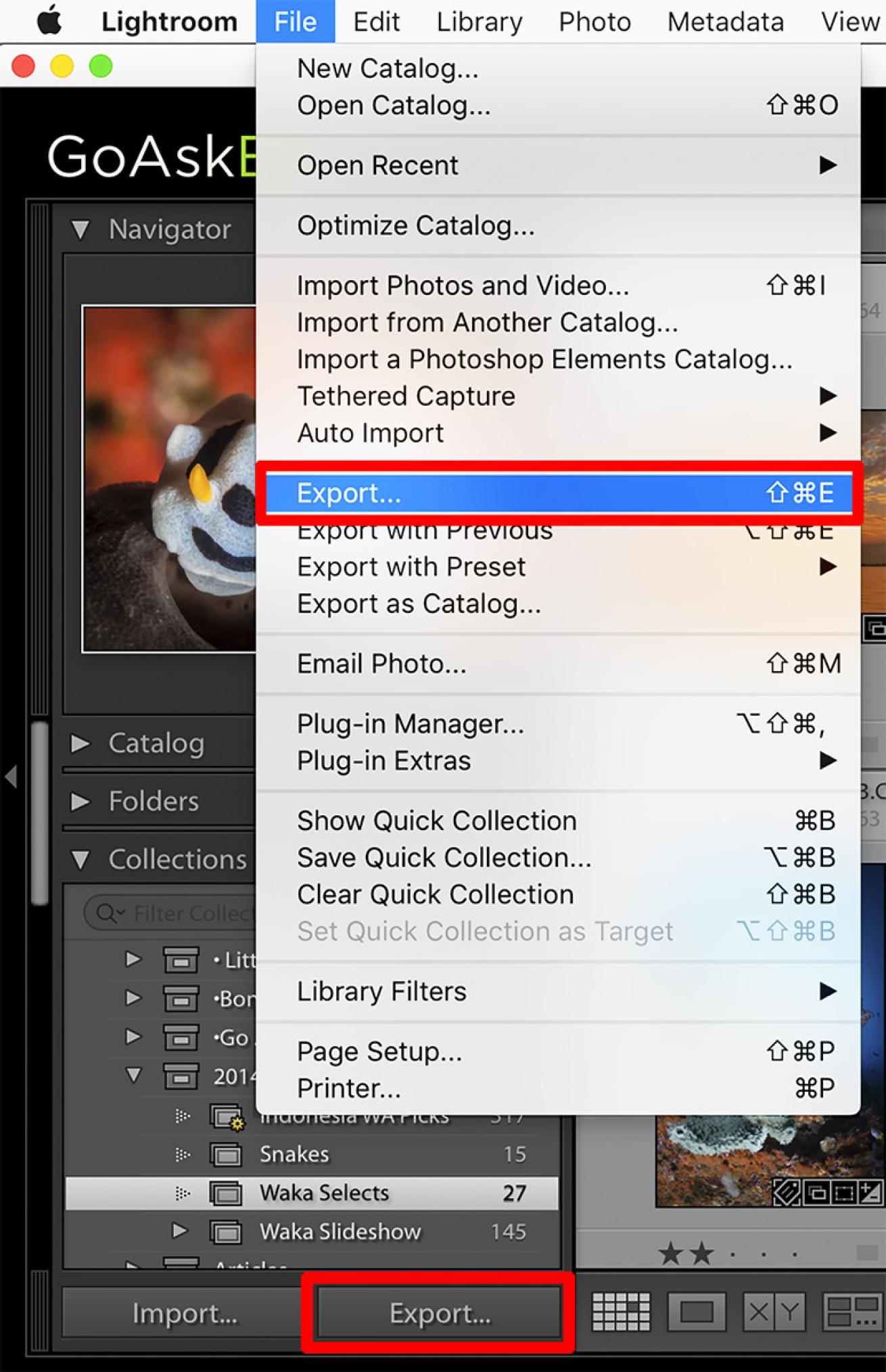 lightroom tutorial 