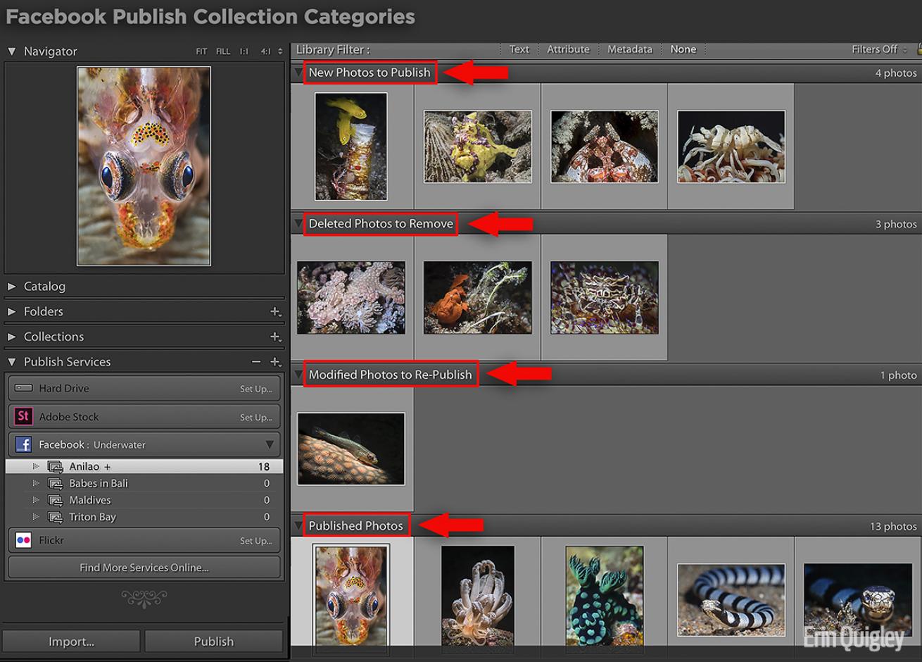 facebook lightroom imaging photo tips
