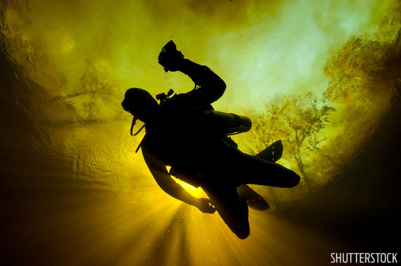 Scuba diving in Ginnie Springs Florida freshwater diving