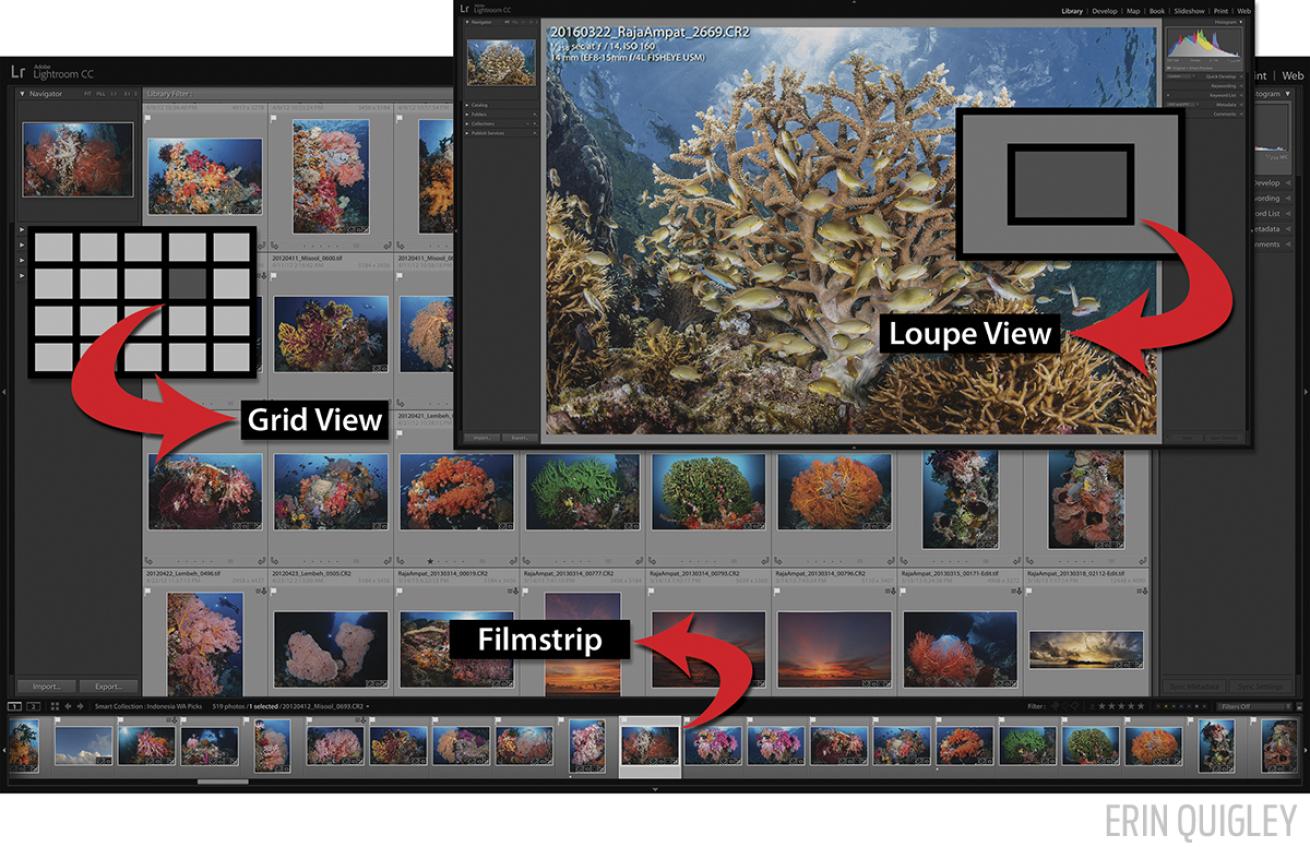 lightroom tutorial 