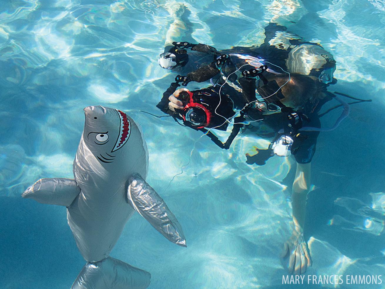Backscatter underwater photography boot camp