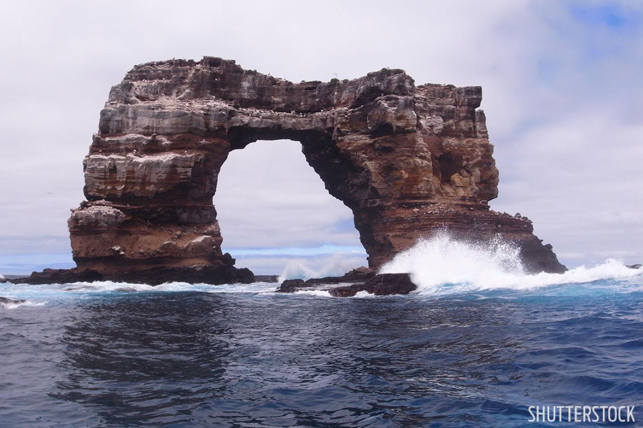 Galapagos Dive Site 