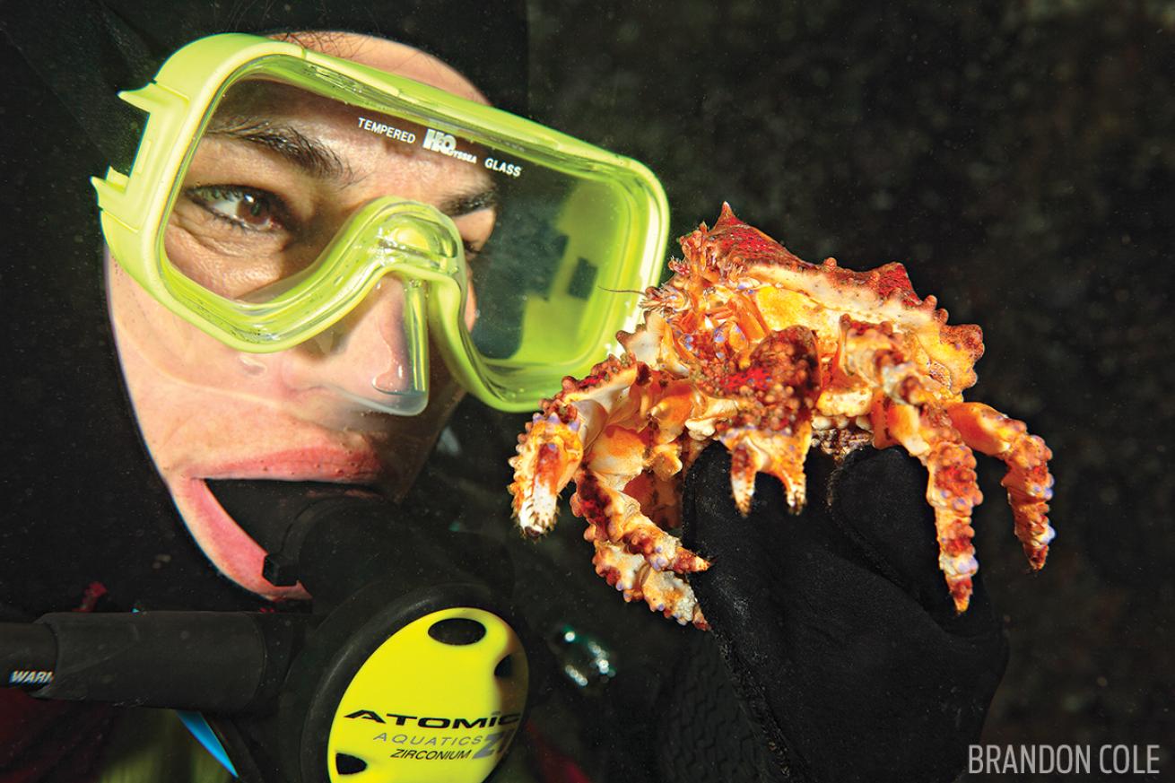 Pugent Sound Crab