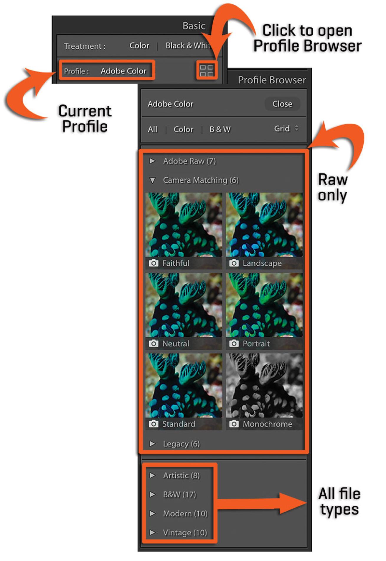 lightroom imaging