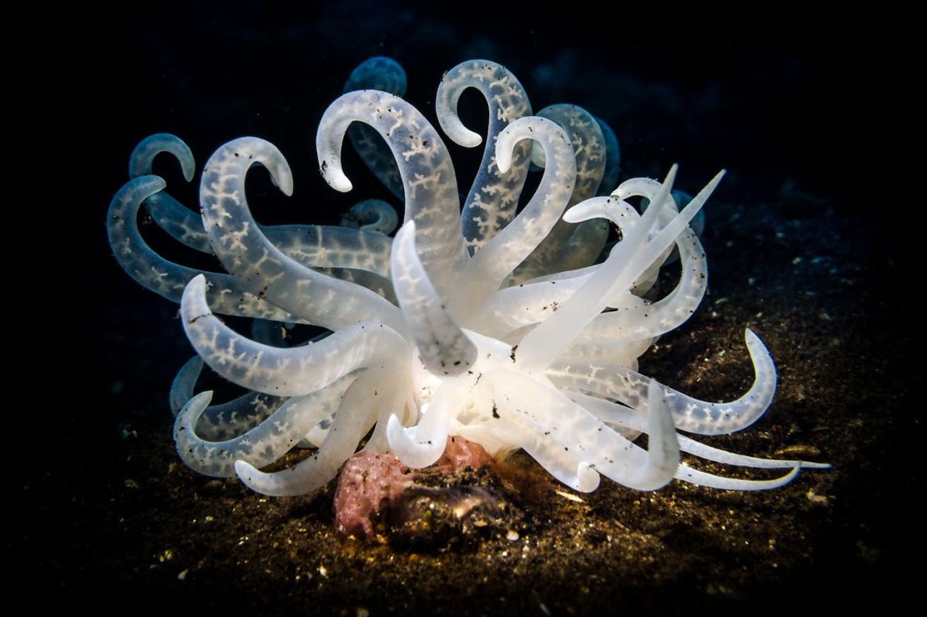 below surface