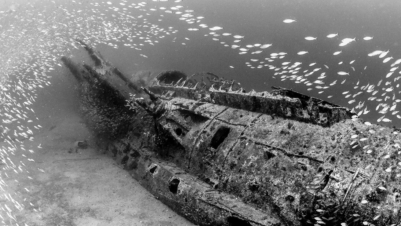 North Carolina’s U-352