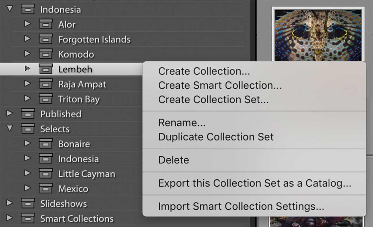 lightroom collection creation
