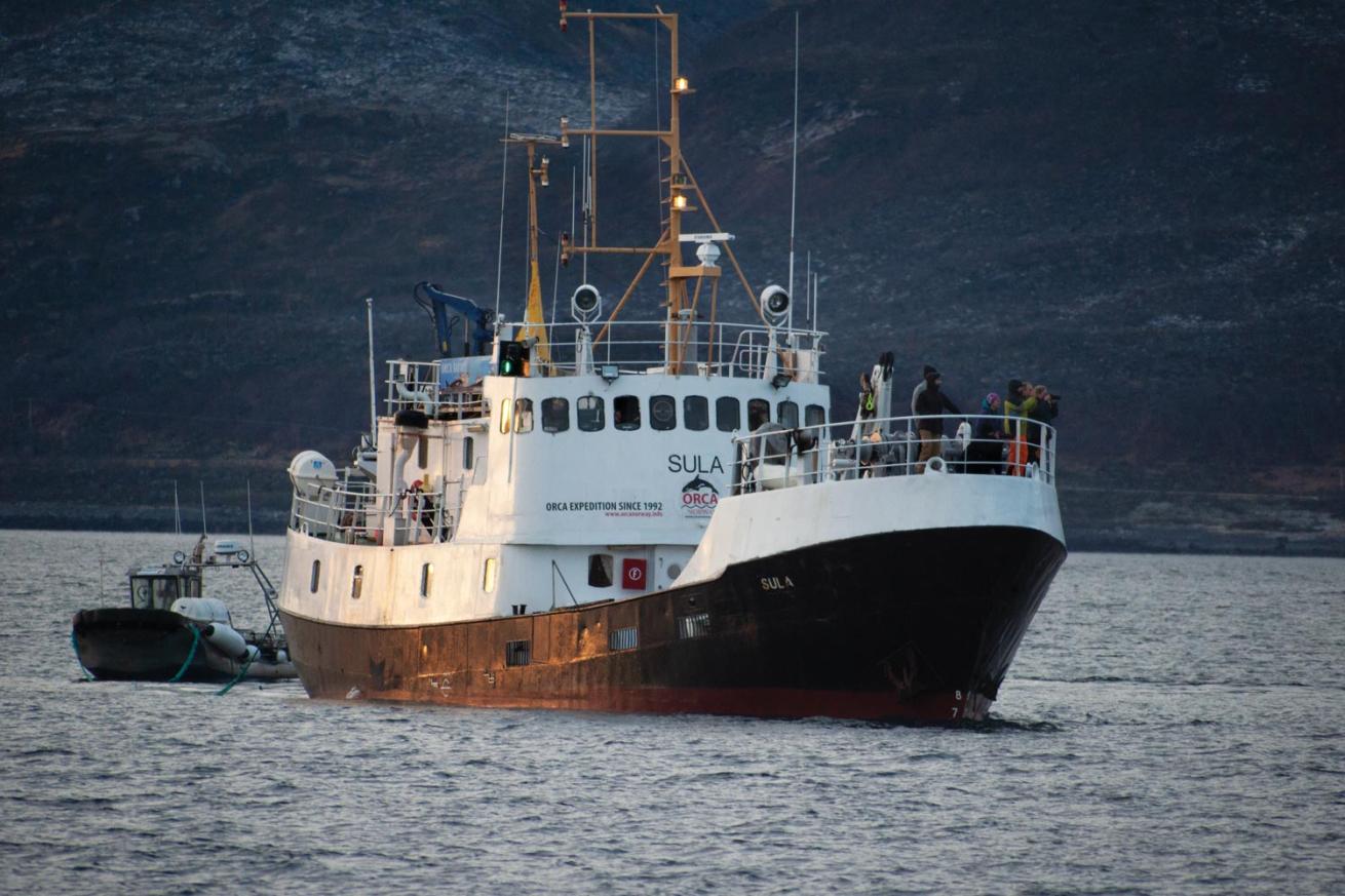 Sula Liveaboard