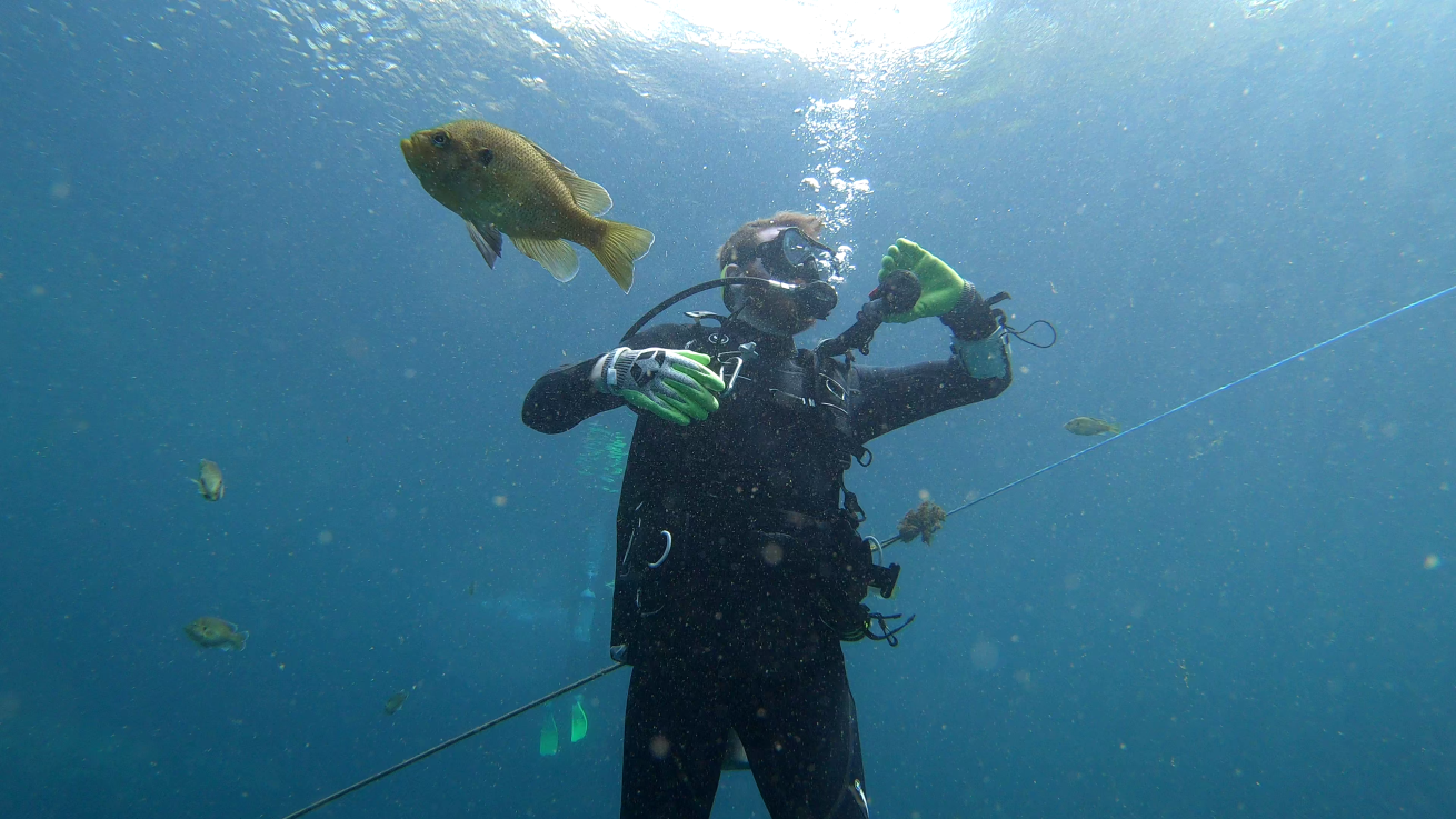 Diver at Blue Grotto Springs