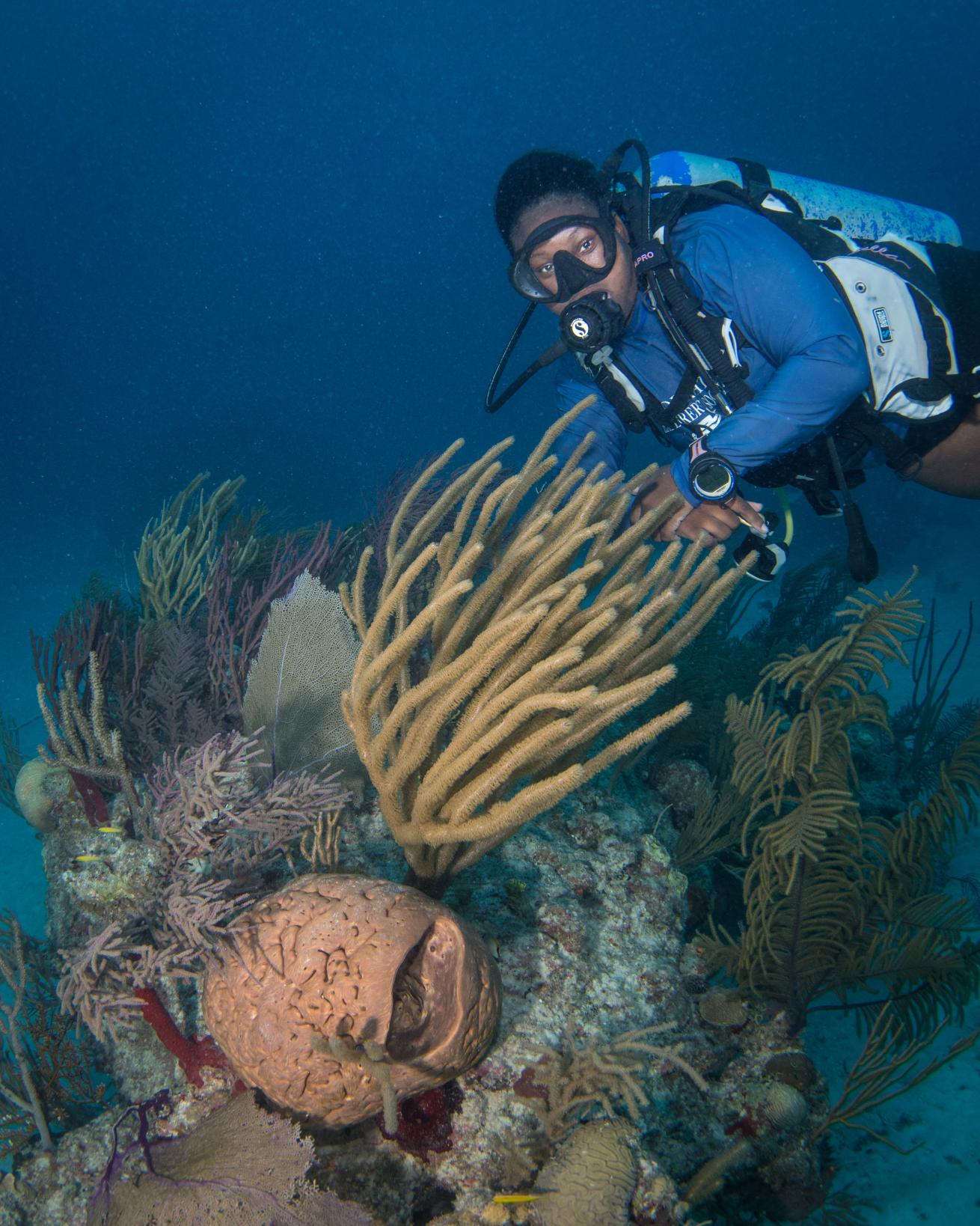 UNEXSO dive guide in Bahamas 