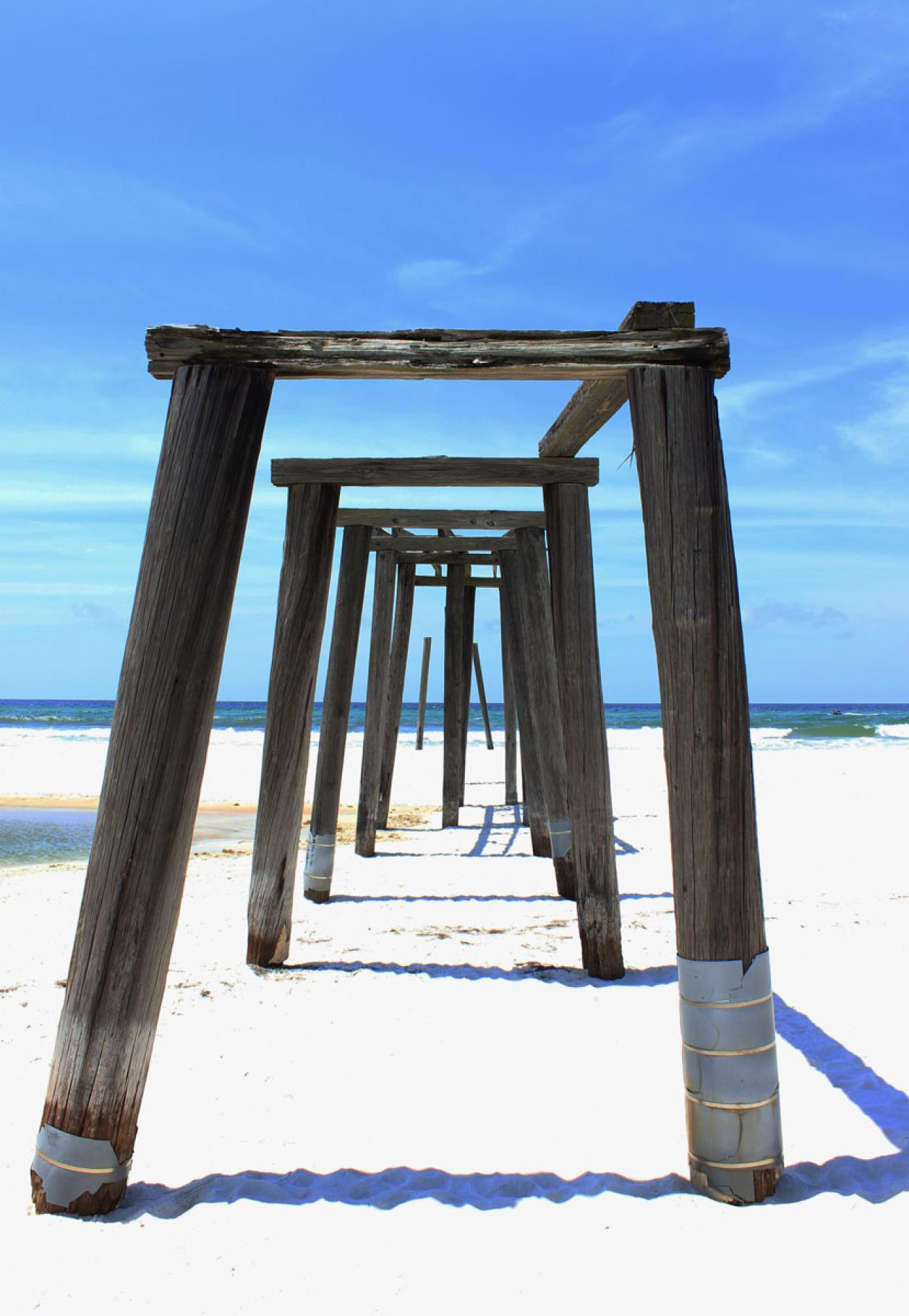Camp Helen State Park Florida