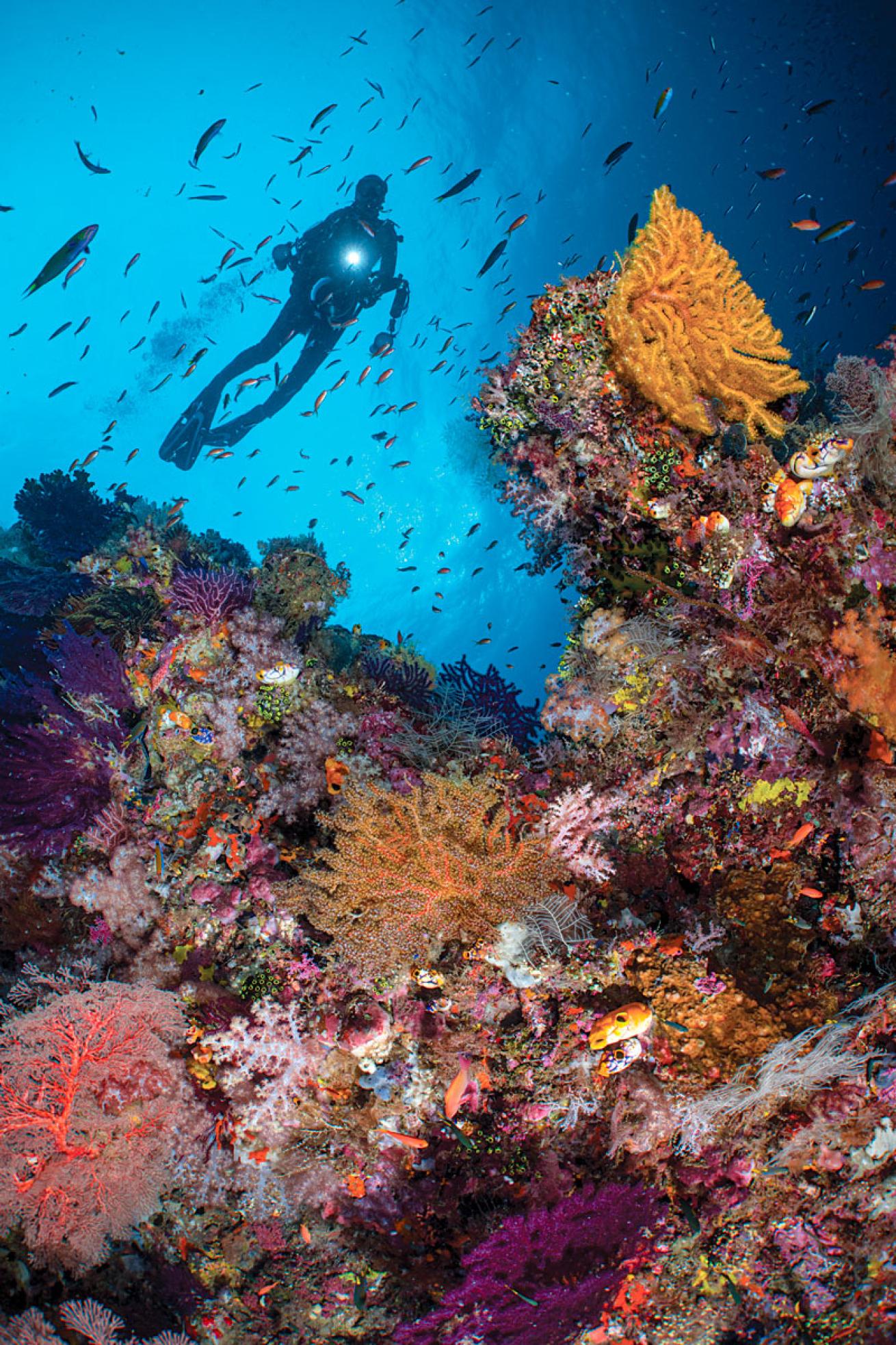 Raja Ampat Indonesia 