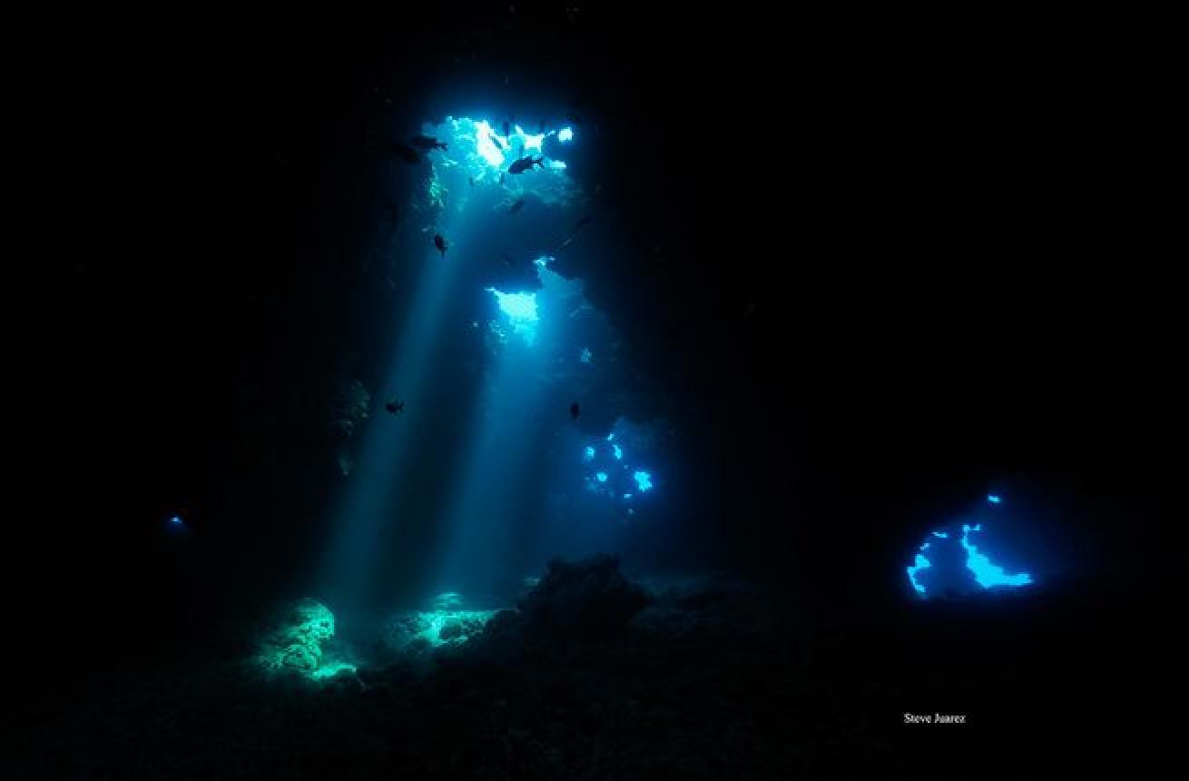 Dive Maui