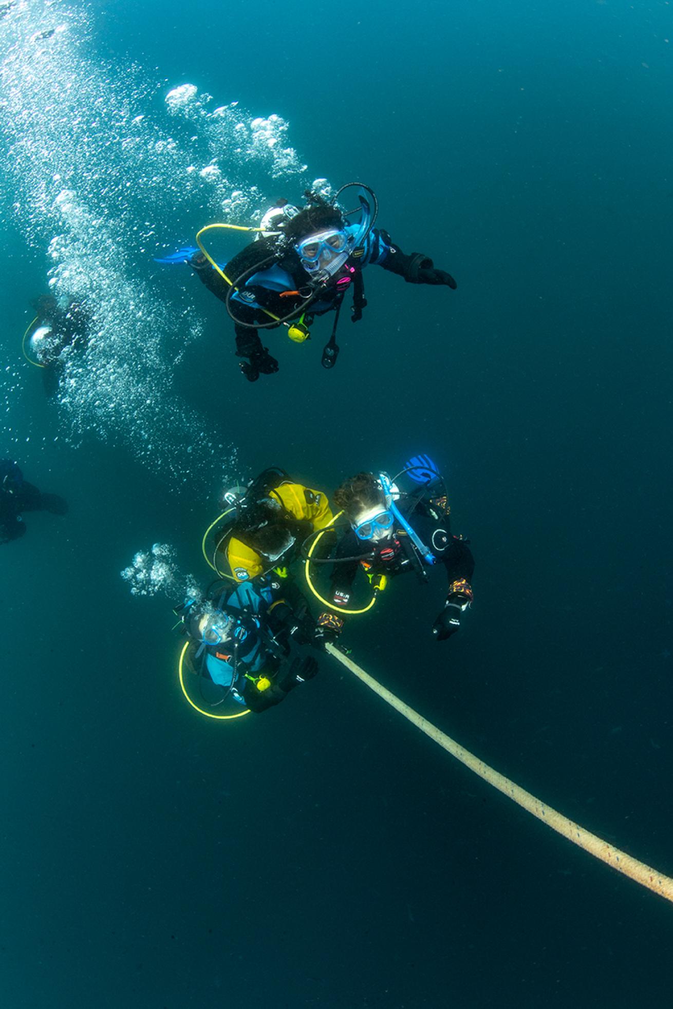 Divers ascend