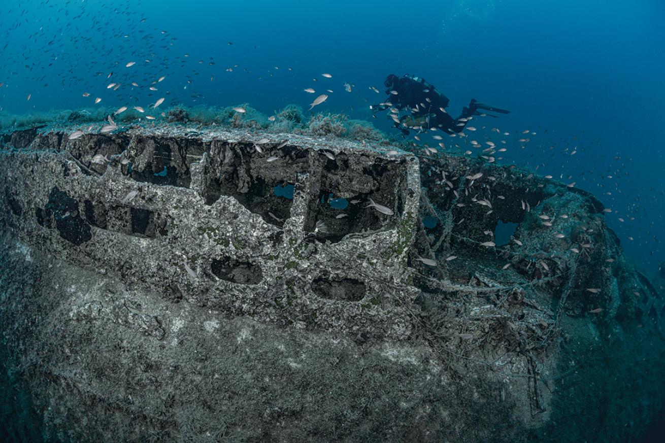 Diver over Perseus