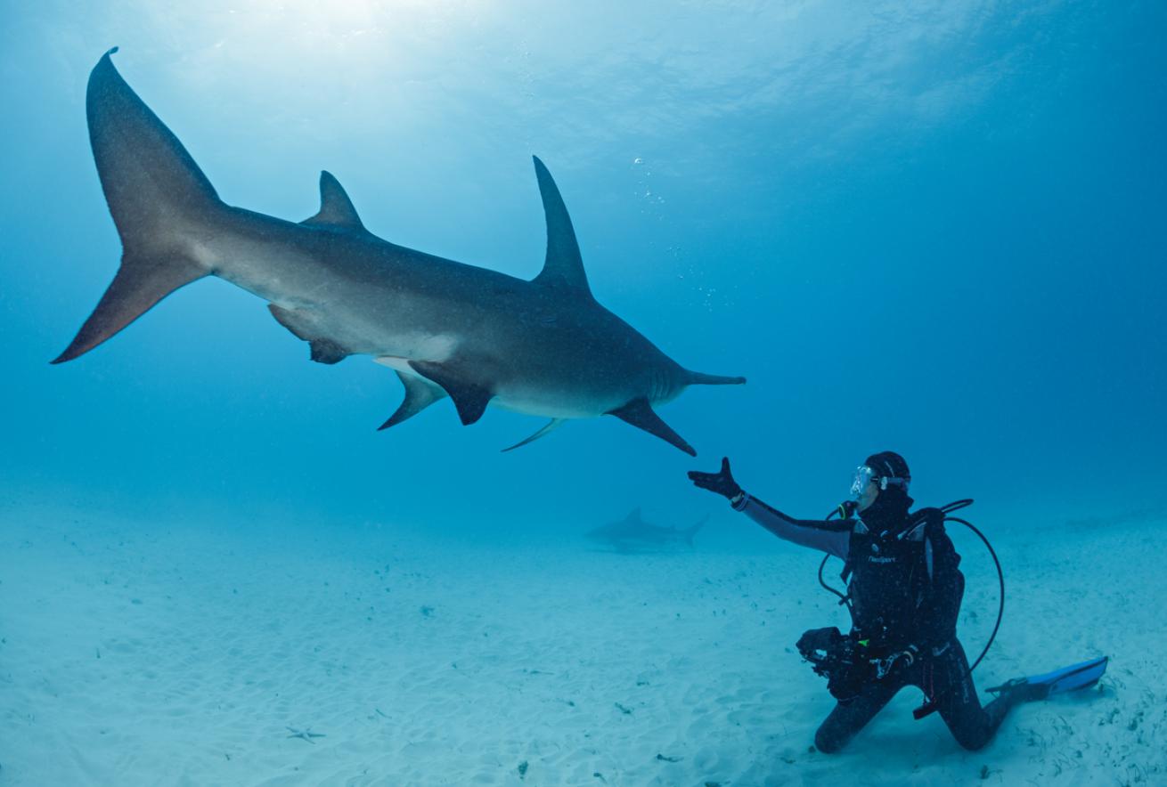 xh1991 Brandon Cole - Scuba Diving Magazine - December 2021