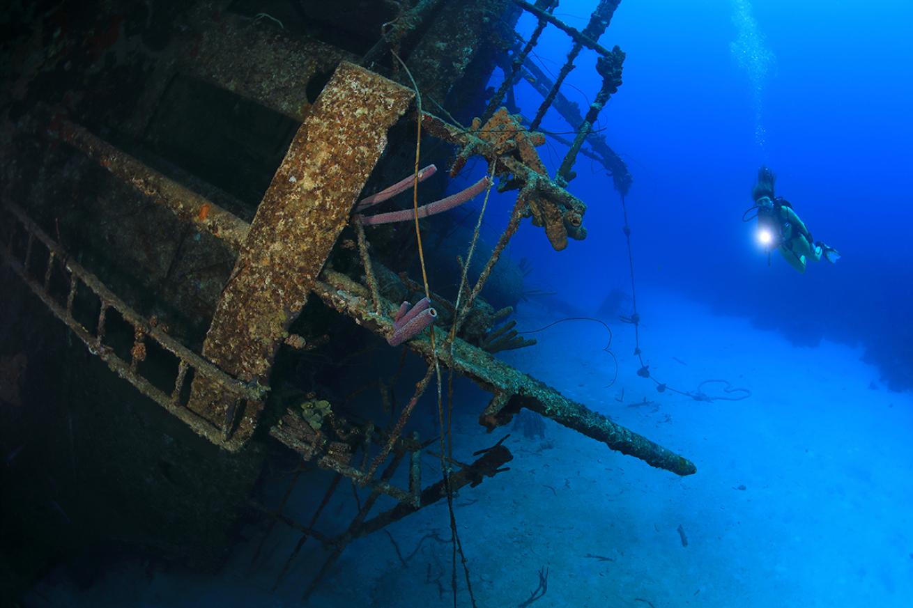 Diver Hilma Hooker