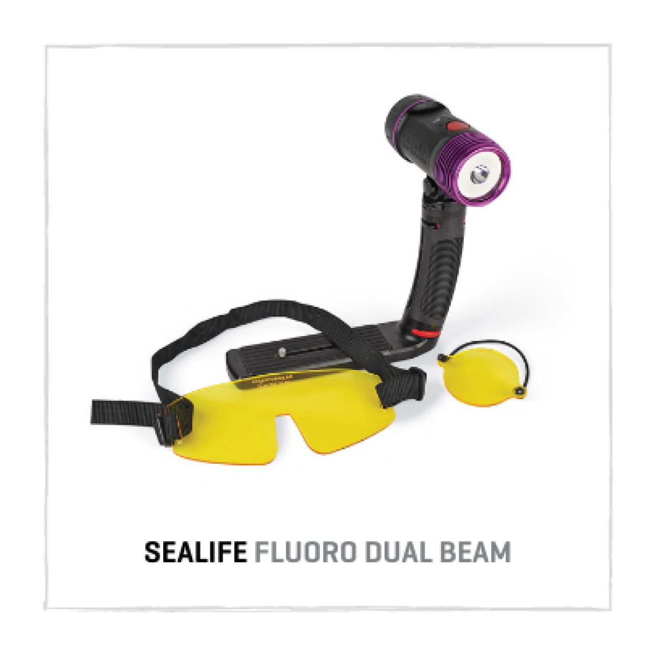 SeaLife Cameras