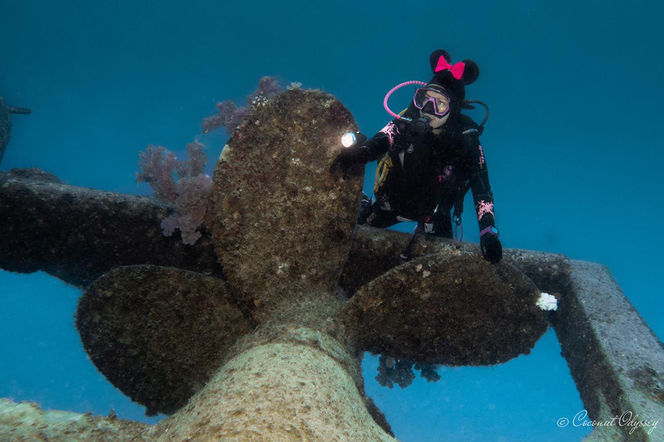 Diver by propeller