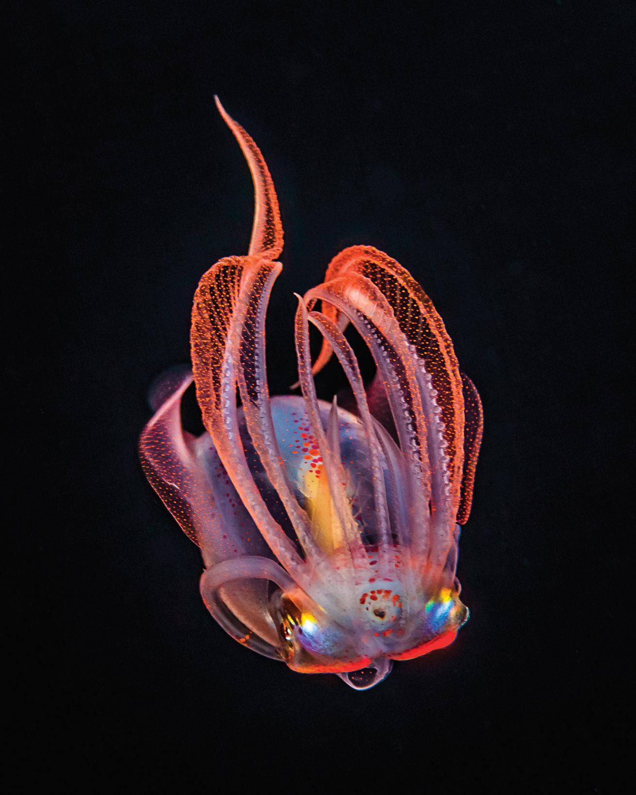 best scuba diving destinations 