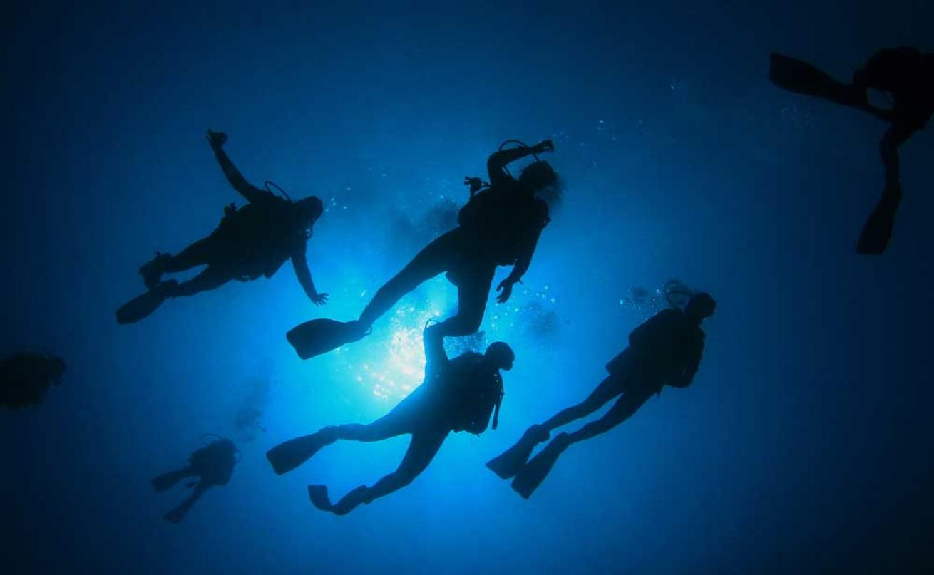 crowded dive sites 