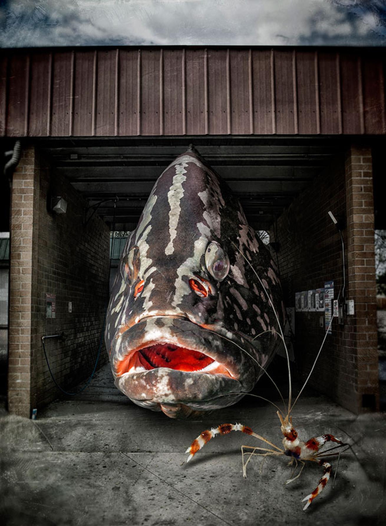 underwater conceptual photography
