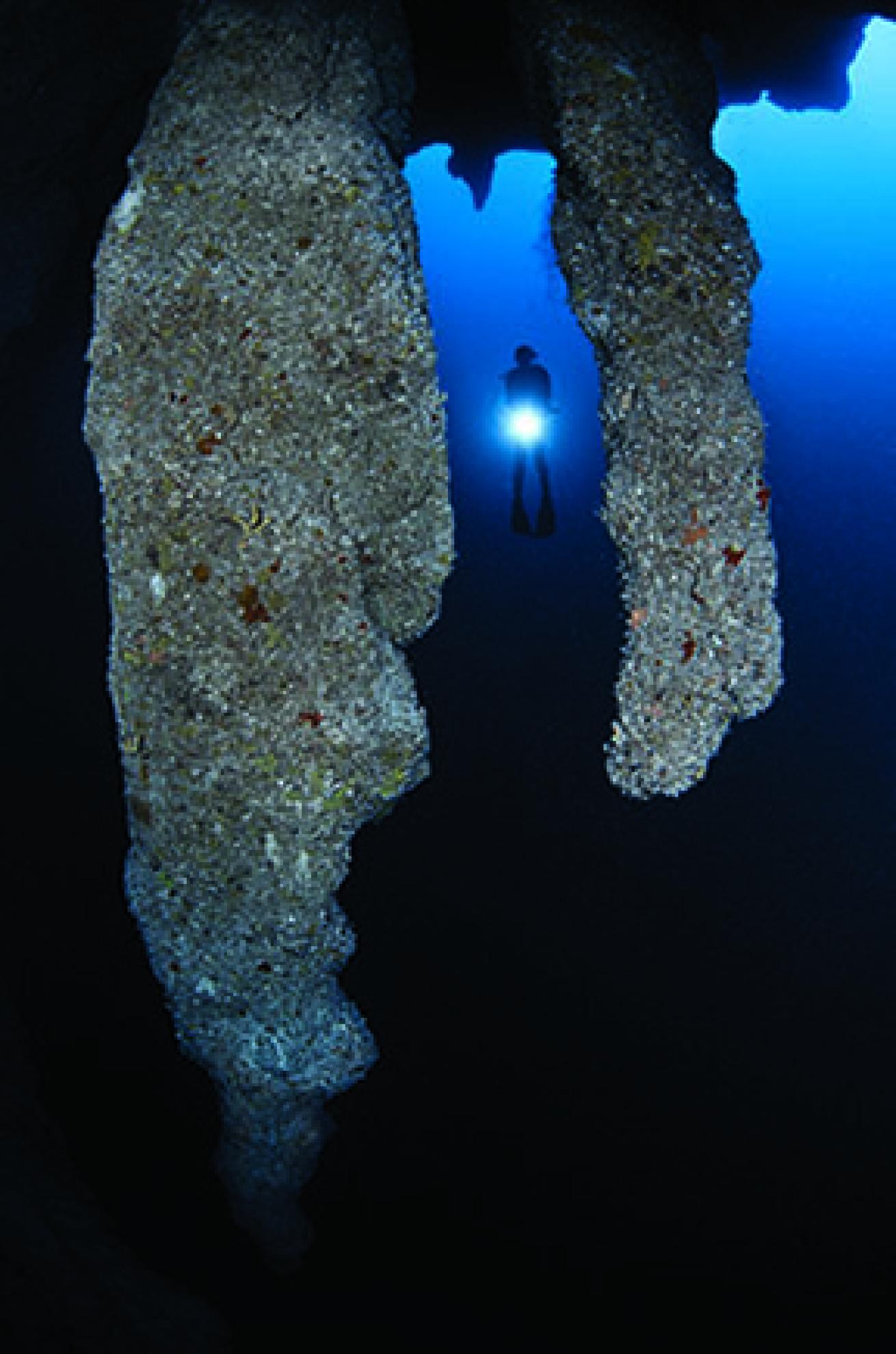 scuba diving belize