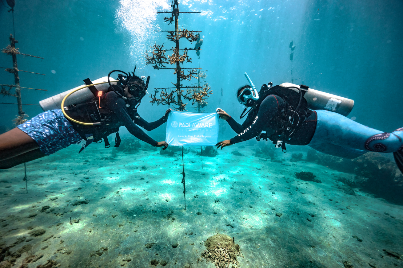 Two scuba divers at coral nursery transplanting at Sandals St Lucia