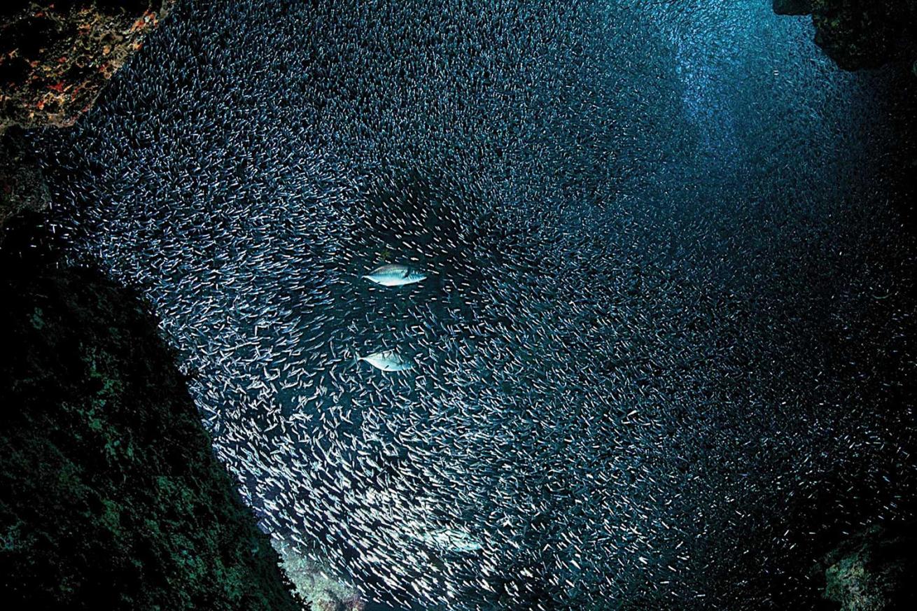 Caribbean Sea, Cayman Islands