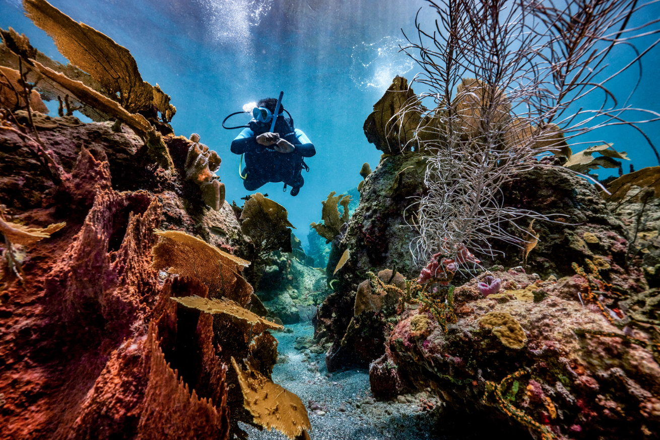 Scuba diver swimming over coral at a Sandals resort.