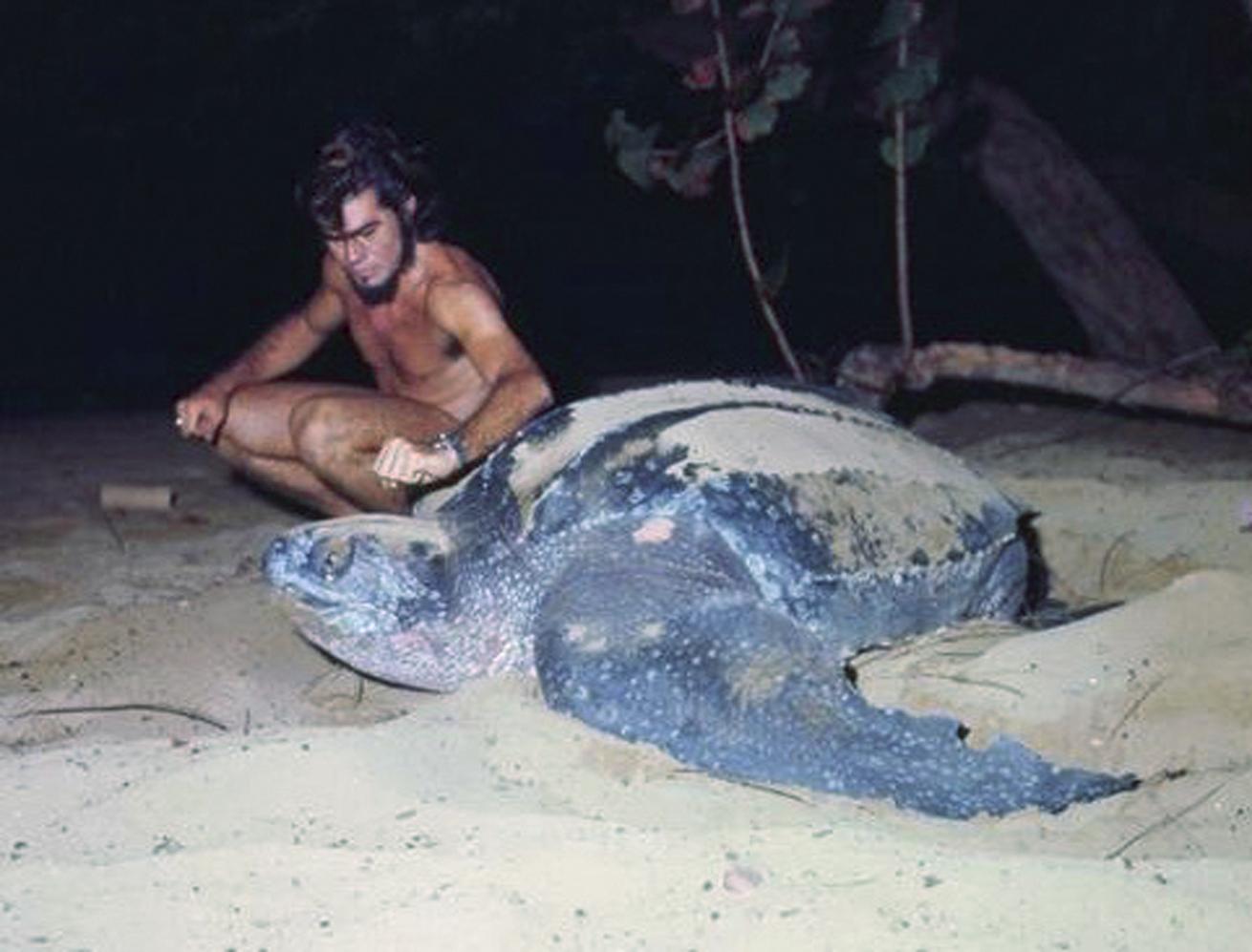 Peter Hughes sits alongside a turtle on the beach.