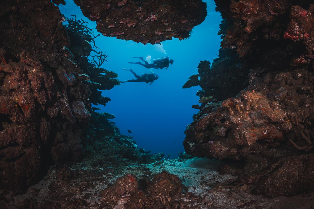 silhouette of two divers in blue water framed by natural coral and rocks underwater