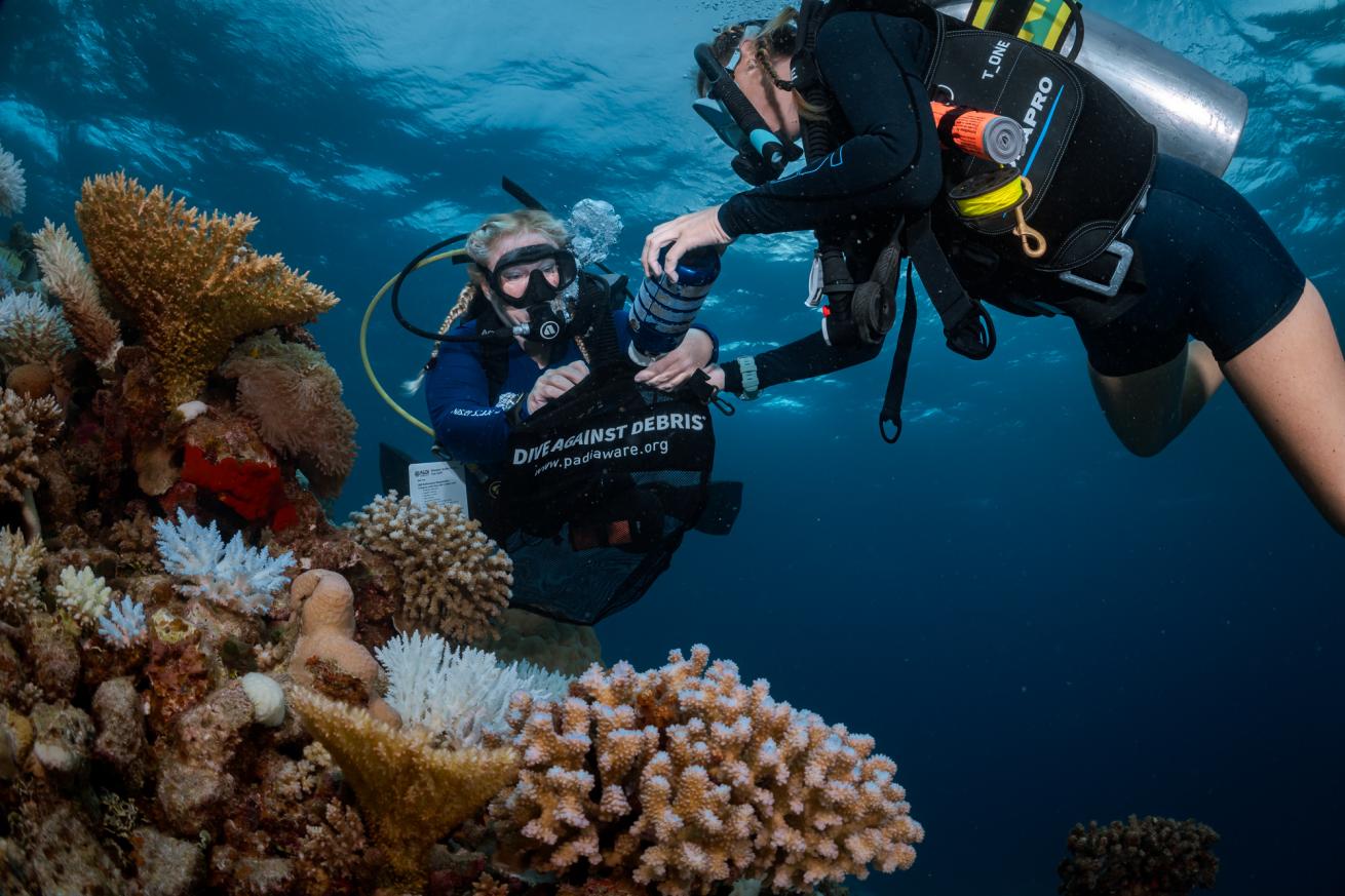 divers collect trash off a reef