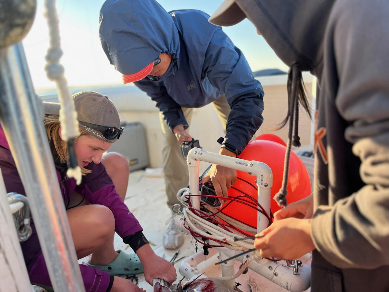 During his activities at his NPO, O'Seas Conservation Foundation, Inc., Dr. Craig O'Connell practices experiential learning where his students get hands on training in Engineering, Science and Shark Behavioral research.  In this image, his students are designing and building their own baited remote underwater video systems (BRUVS) so they can conduct remote surveillance of the Shark Exclusion Barrier in Chatham, Cape Cod.