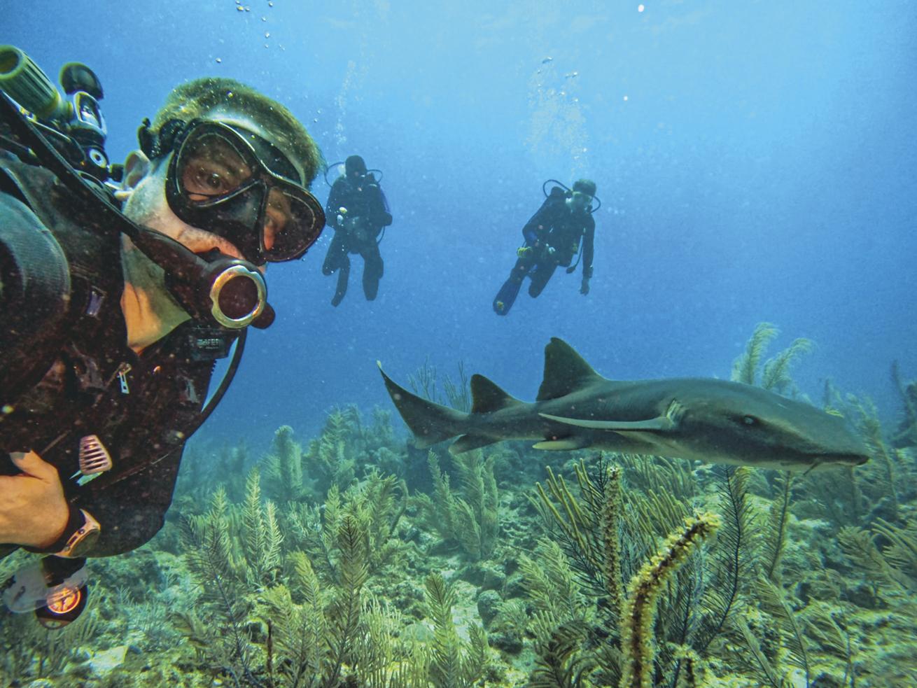 A shark-selfie with one of the many sharks off the coast of San Pedro, Belize.