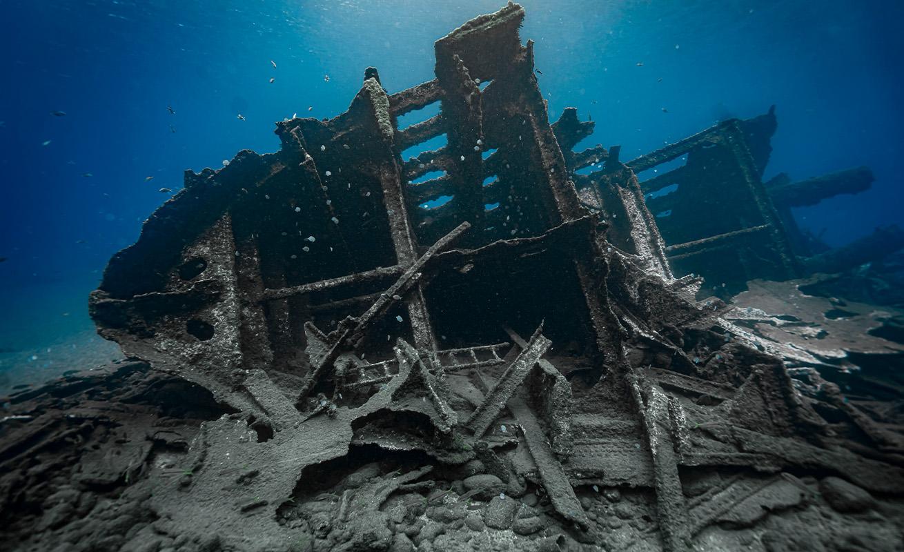 The SS *Papanui* is a popular wreck that visitors can reach from shore diving.