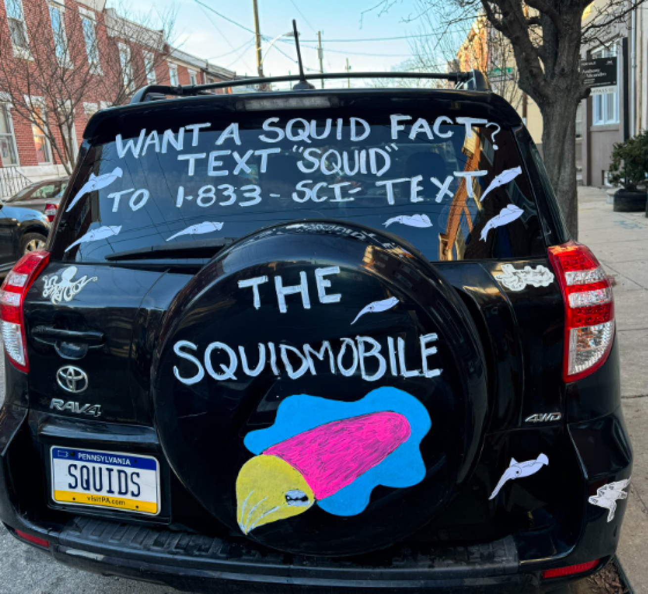 The SquidMobile, image courtesy Dr. Sarah McAnulty