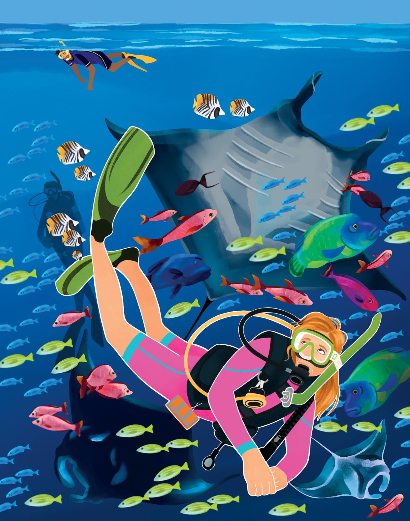 colorful illustration of a diver looking timid surrounded by a manta ray and vibrant fish and coral with someone snorkeling in the background