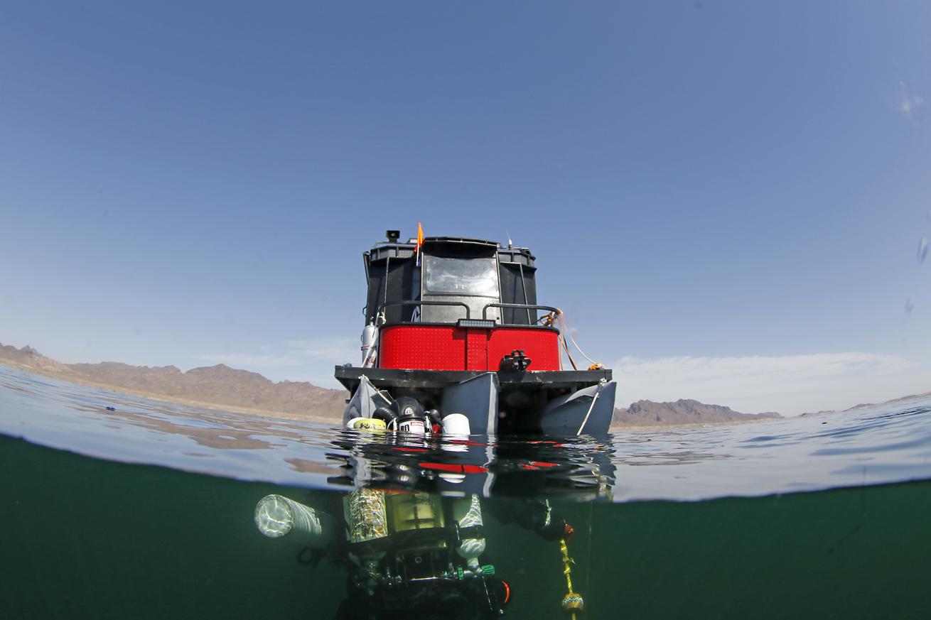Getting ready to dip below the surface to explore


