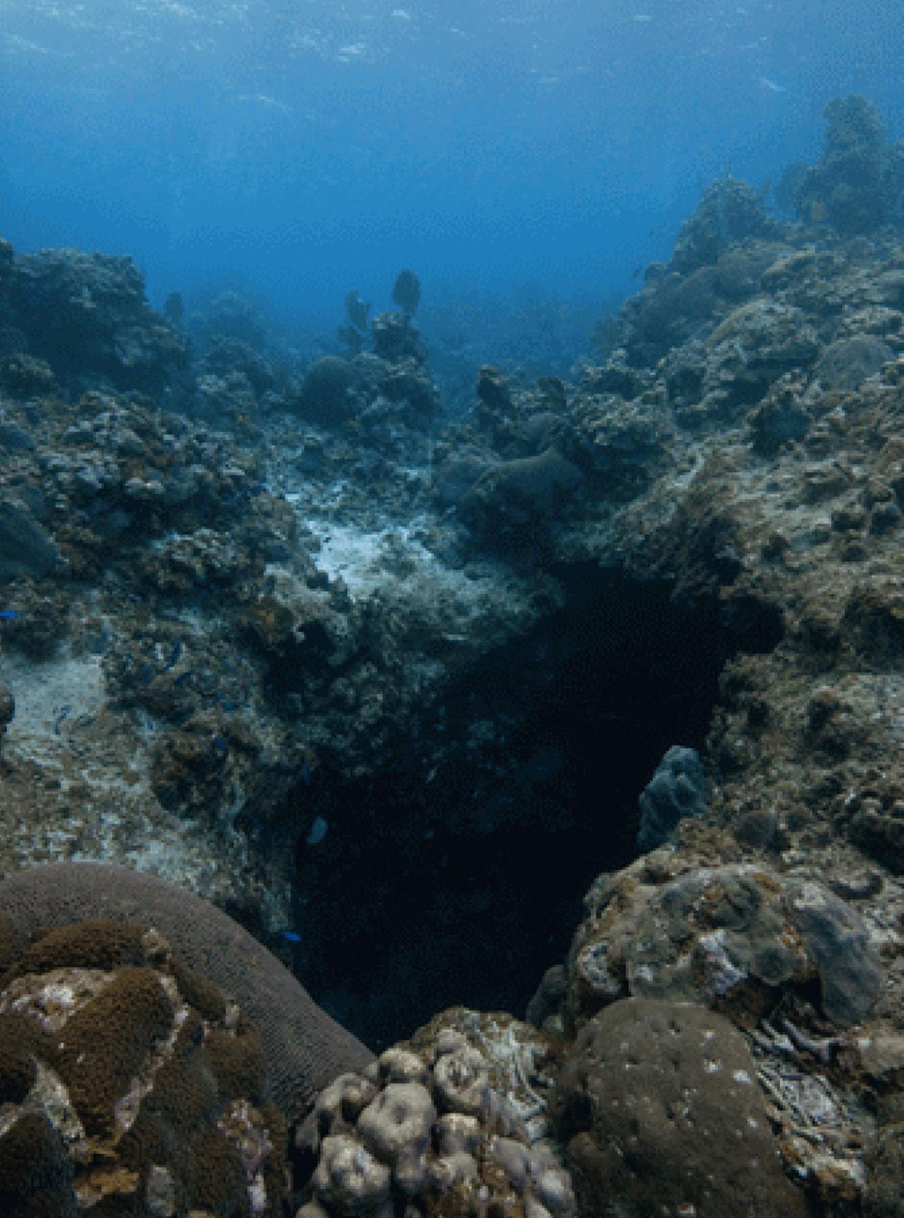 Jake's Hole