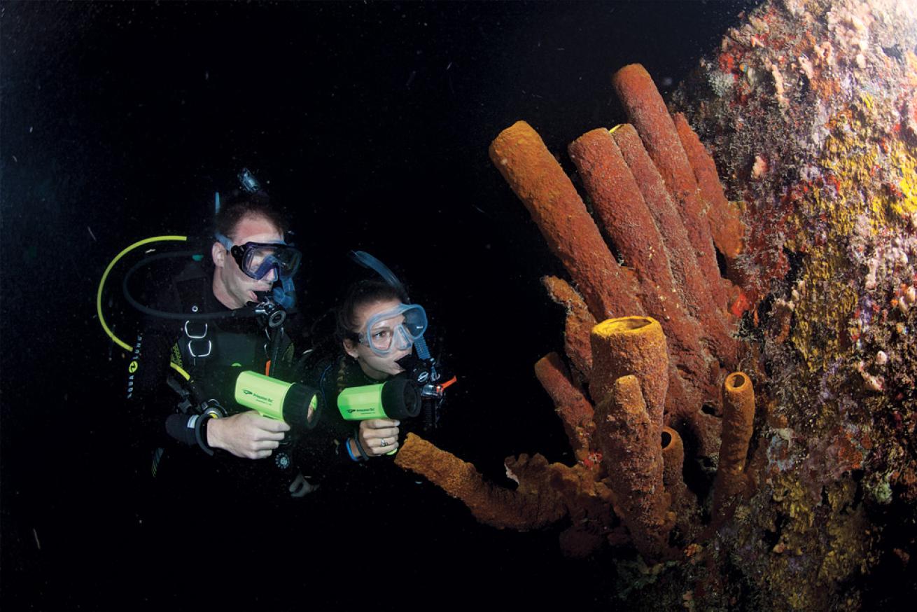 night diving