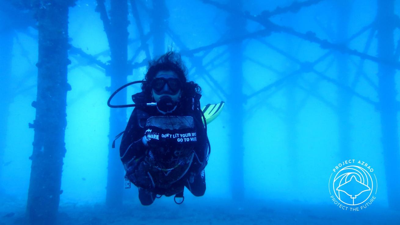 Red Sea citizen science 